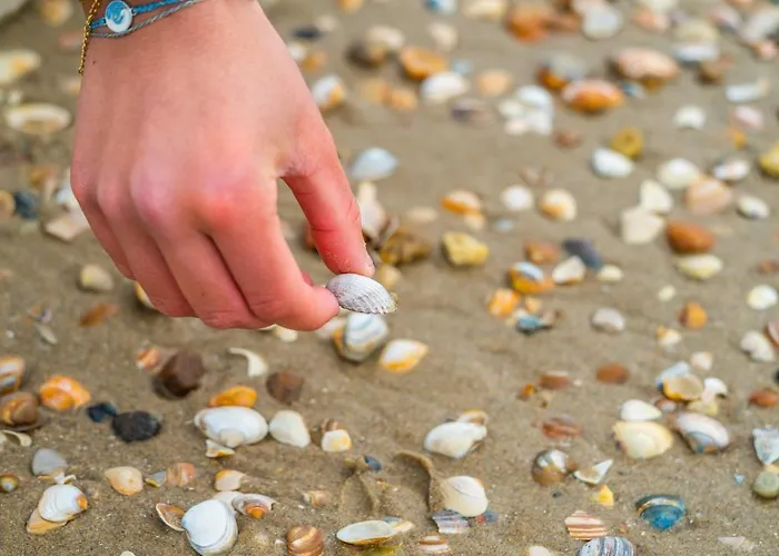 Europarcs Koningshof 3* Schoorl