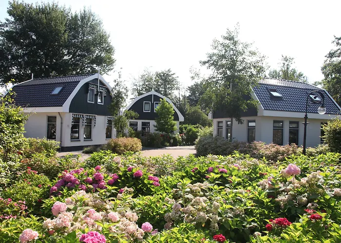 Parco vacanze Europarcs Koningshof 3*