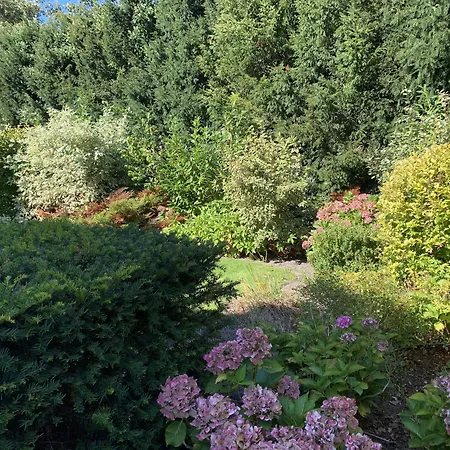 假日公园 Europarcs Koningshof 斯霍尔