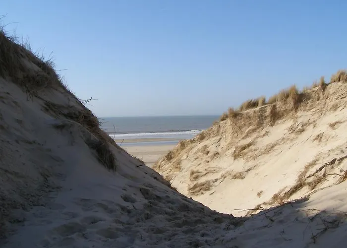 Europarcs Koningshof 3* 斯霍尔