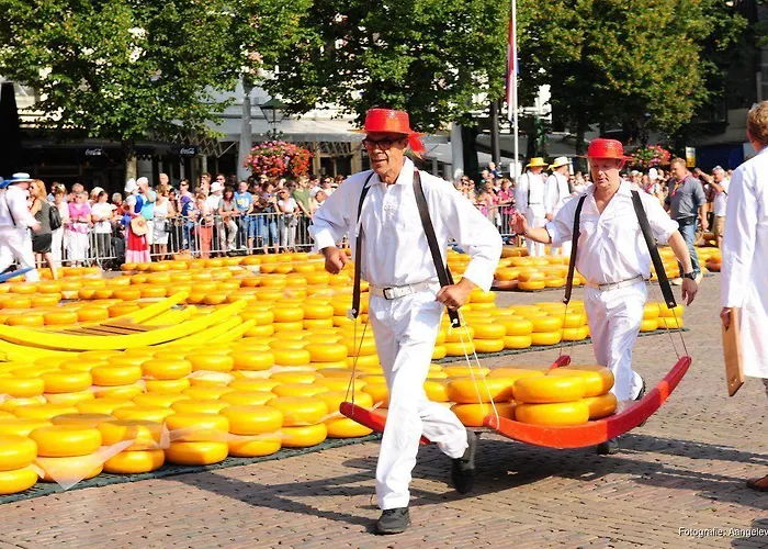 假日公园 Europarcs Koningshof 斯霍尔