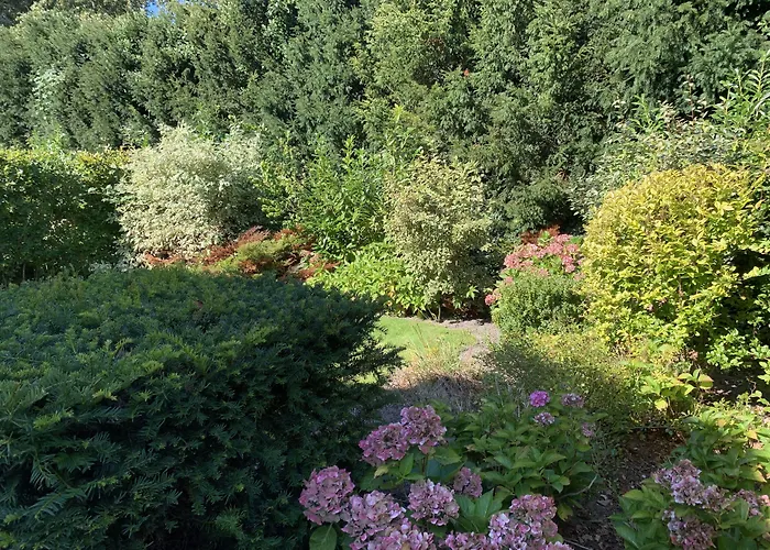 假日公园 Europarcs Koningshof 斯霍尔